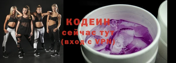 мдпв Михайлов