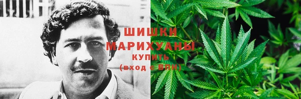 эйфоретик Медвежьегорск