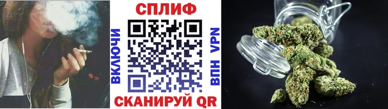 Конопля план  mega зеркало  Юхнов 